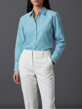 Zara fitted pinstripe button-down dress shirt, Small, blue white, Office Classic